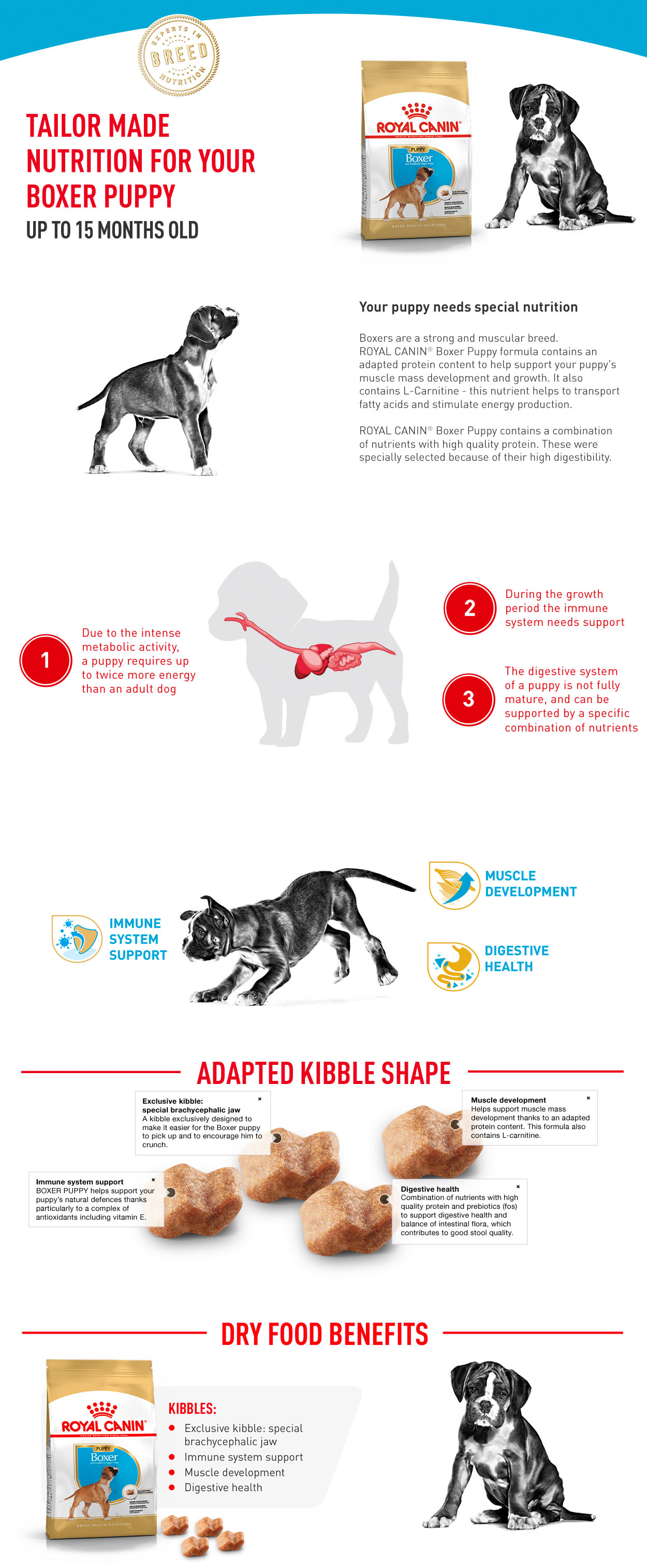 Boxer puppy shop feeding chart